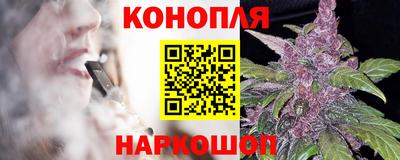 СК Камышлов