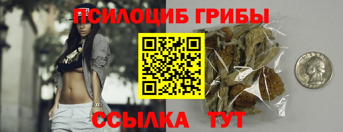закладка  Псилоцибиновые грибы Magic Shrooms  Вход с VPN  Майкоп 