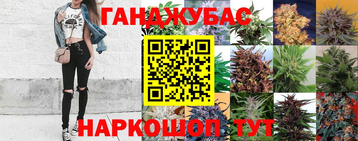 Бошки Шишки планчик Майкоп